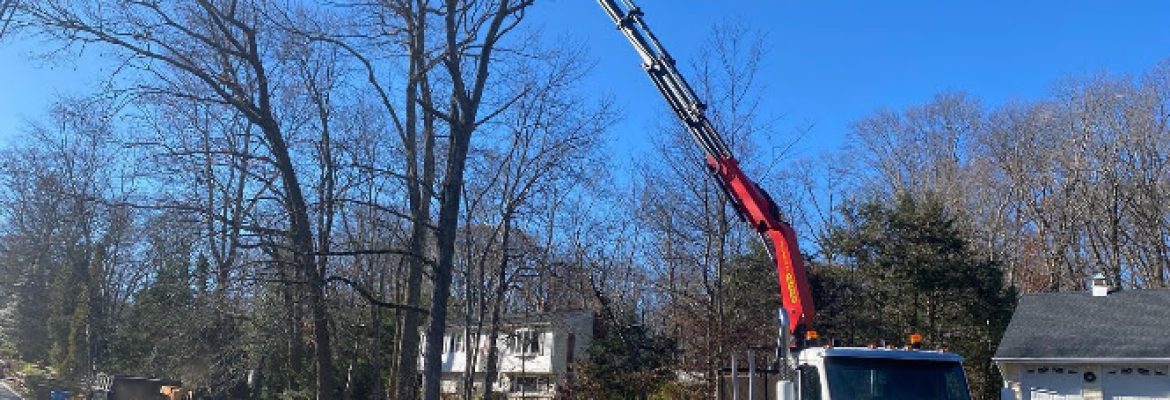 Bogan’s Tree Service