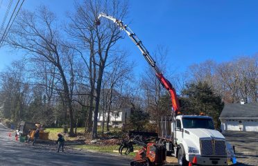 Bogan’s Tree Service