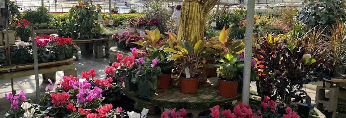 Woodland Gardens