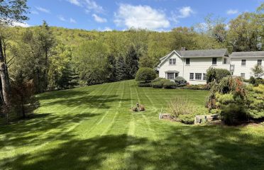 Arborist Gaia Landscape