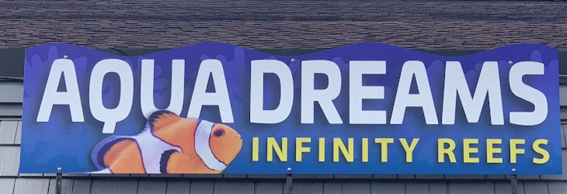 Aqua Dreams ~ Infinity Reefs