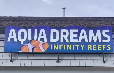 Aqua Dreams ~ Infinity Reefs