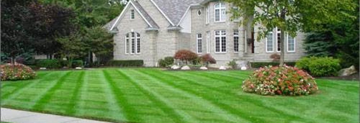 JBJ Landscaping Service, LLC.