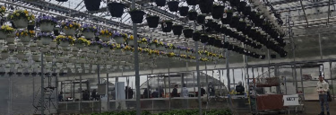 Michael’s Greenhouses
