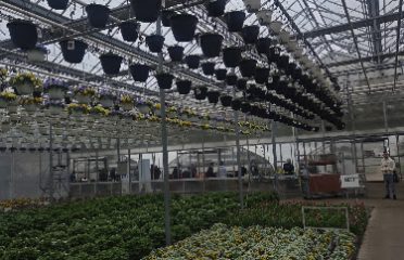 Michael’s Greenhouses