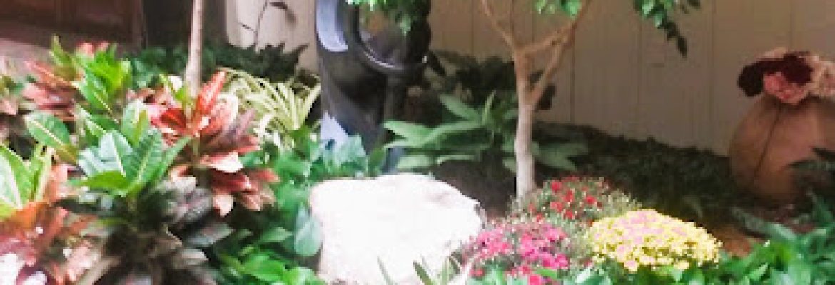 The Plant Man