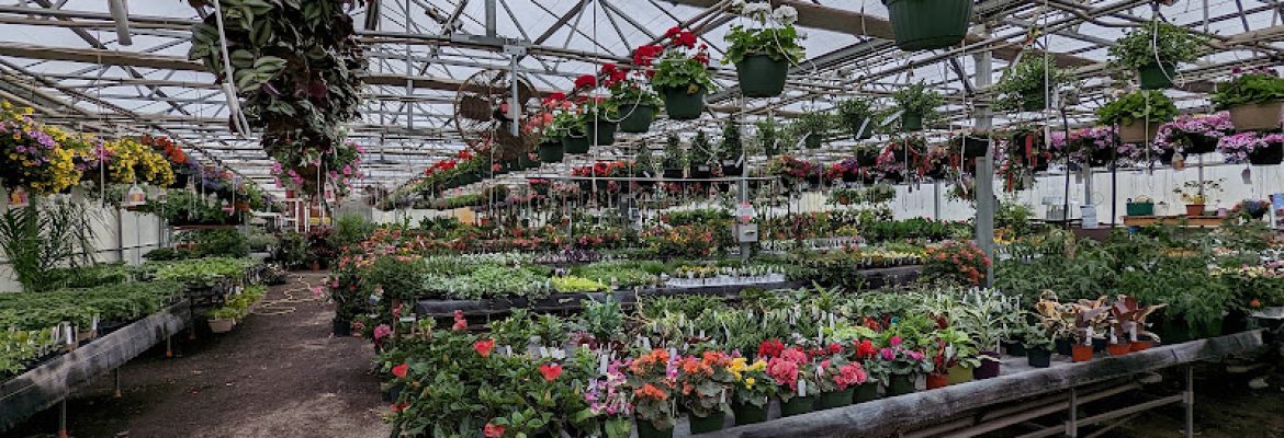 Winterberry Gardens