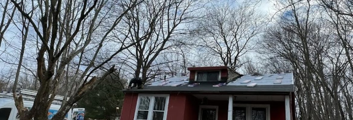 Top Elite Roofing LLC