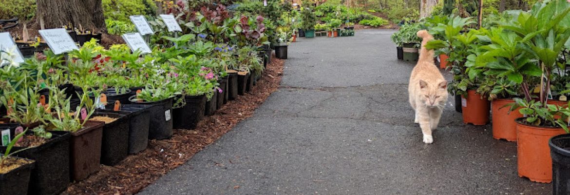 O’Brien Nurserymen LLC