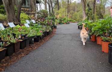 O’Brien Nurserymen LLC