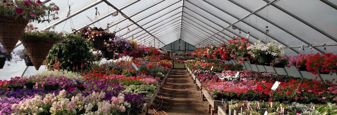 Sprucedale Gardens Greenhouse & Nursery