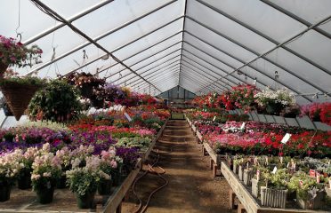 Sprucedale Gardens Greenhouse & Nursery