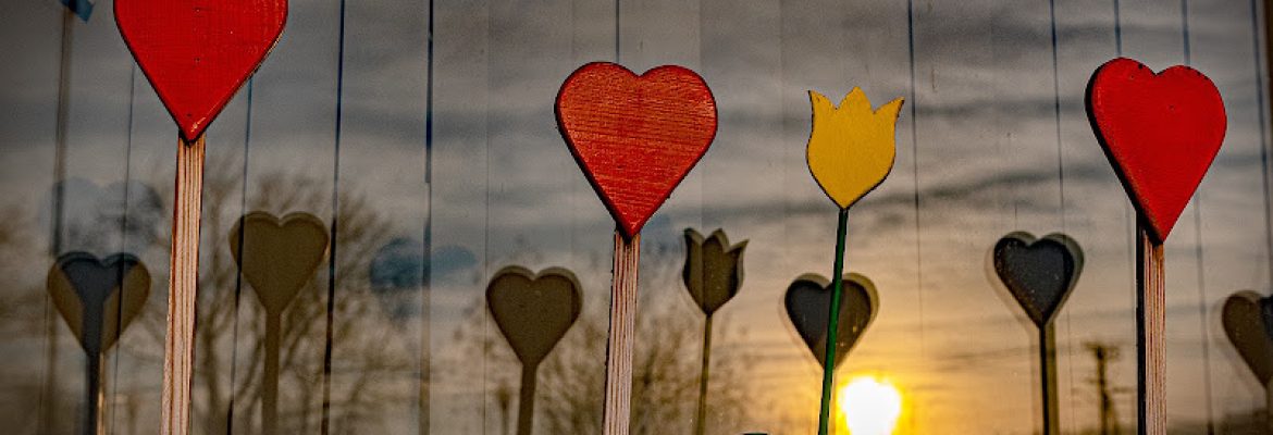 CHH Center for Youth and Families