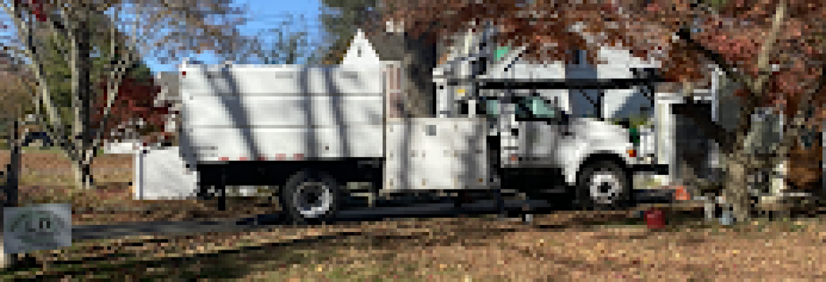 LD General tree care