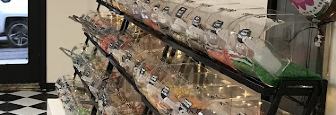 Sadie’s Sweet Shop