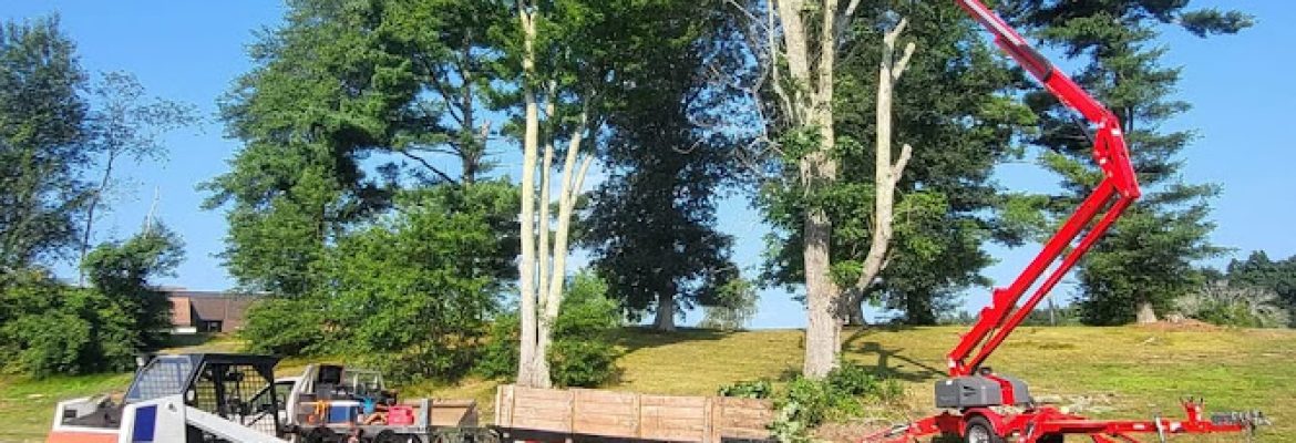 Top Notch Tree and Landscape LLC
