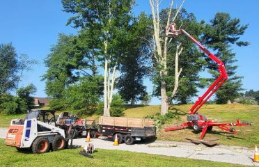 Top Notch Tree and Landscape LLC