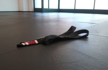 Ronin Jiu Jitsu