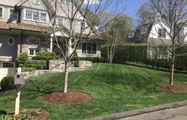 Lawler Landscaping LLC