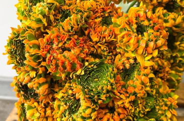 Hartford Florist Supply