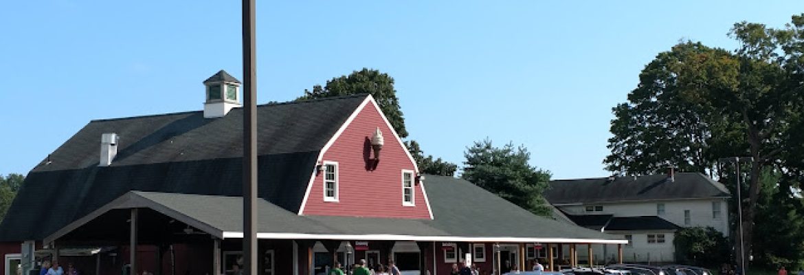 Rose Orchards