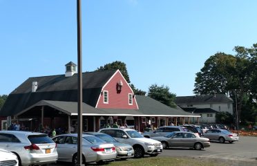 Rose Orchards