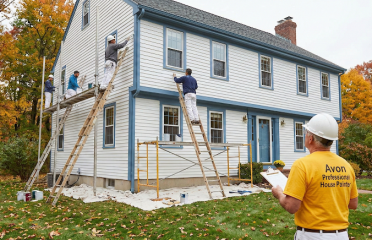 Avon Professional House Painter