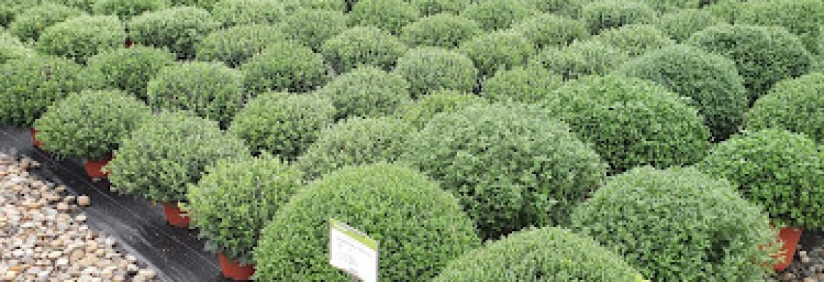 SiteOne Landscape Supply