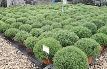 SiteOne Landscape Supply