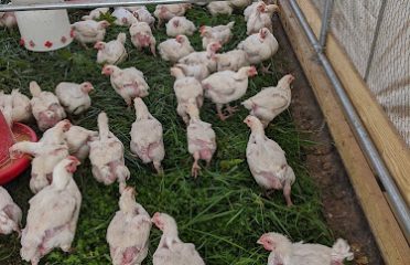 Four Mile River Farm