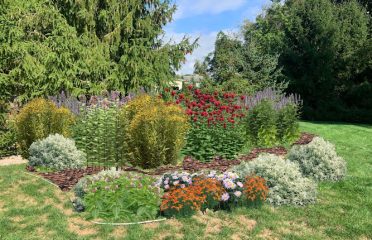 Quercus Works Native Pollinator Gardens