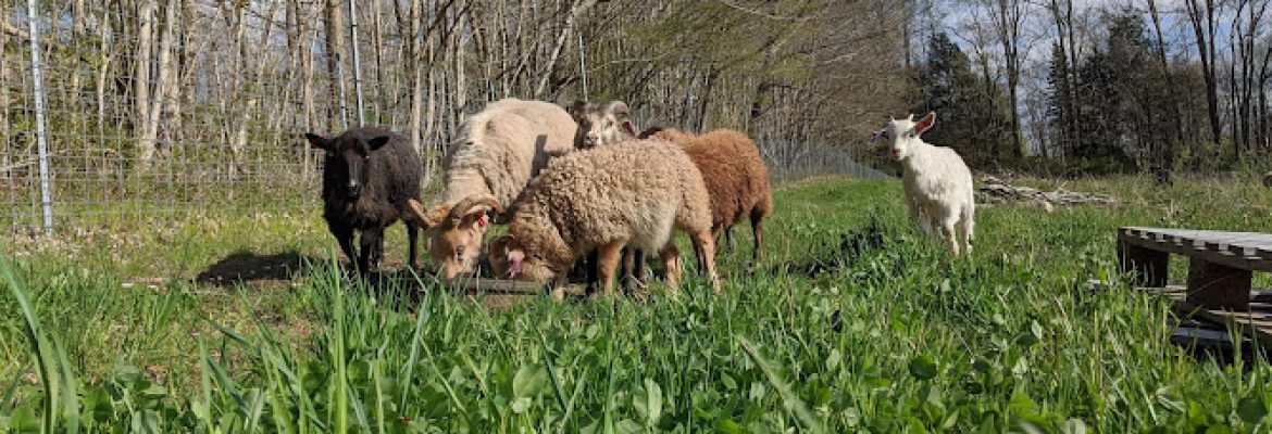 BOTL Farm