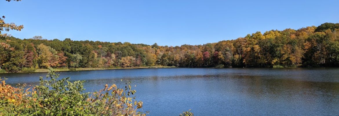 Reservoir Park