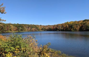Reservoir Park