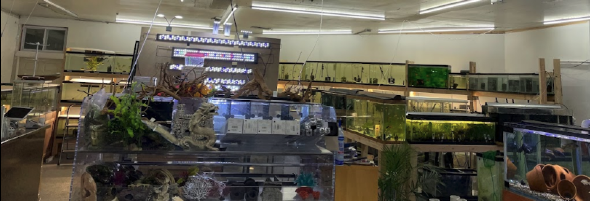 Danbury Aquarium and supplies