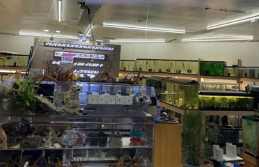 Danbury Aquarium and supplies