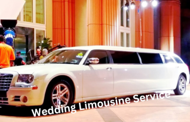 OAK Luxury Limo Service