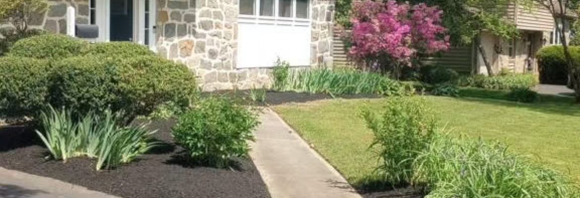 America Flora LLC