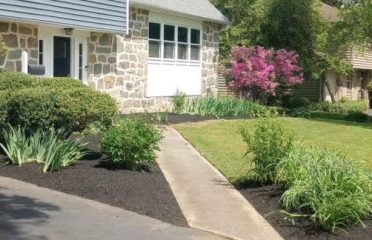 America Flora LLC