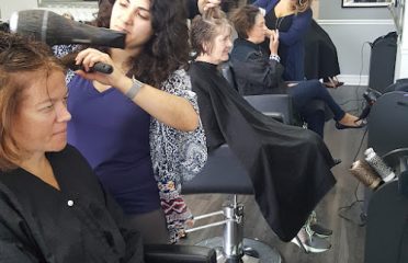 Shear Genius Salon