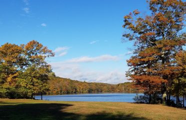 Pattaconk Recreation Area (Cockaponset State Forest)