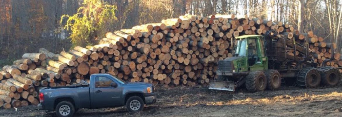 Riendeau & Sons Logging