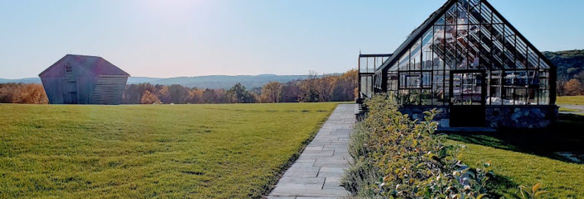 Sunny Meadow Farm