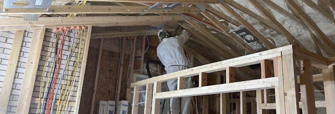 Ari Spray Foam