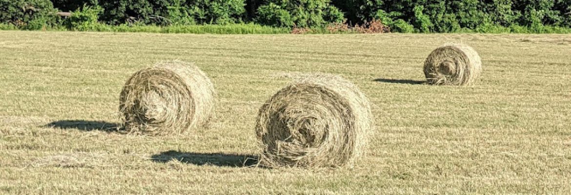 Fontanella Farms