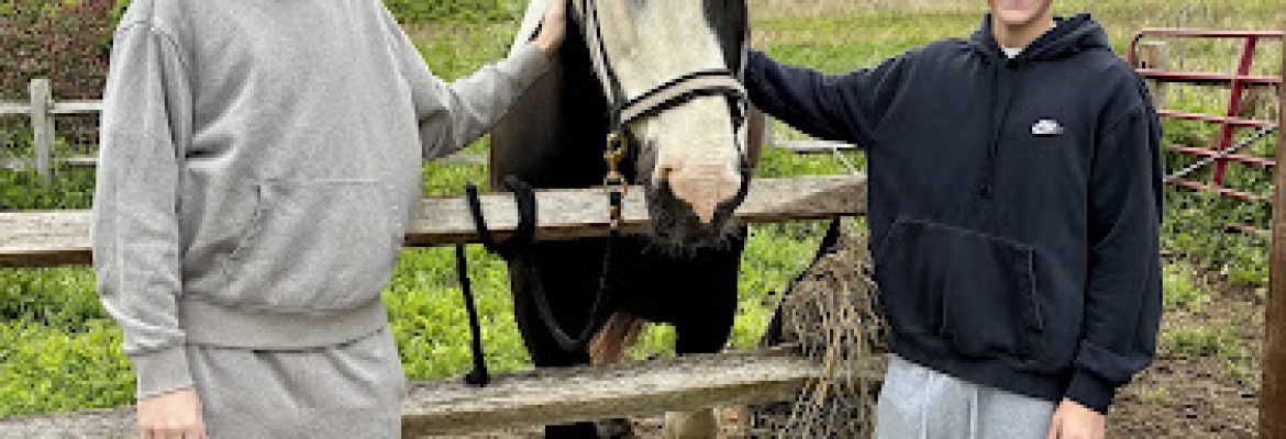 Blue Iris Farm Rescue and Retreat