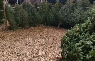 East Haven Nursery