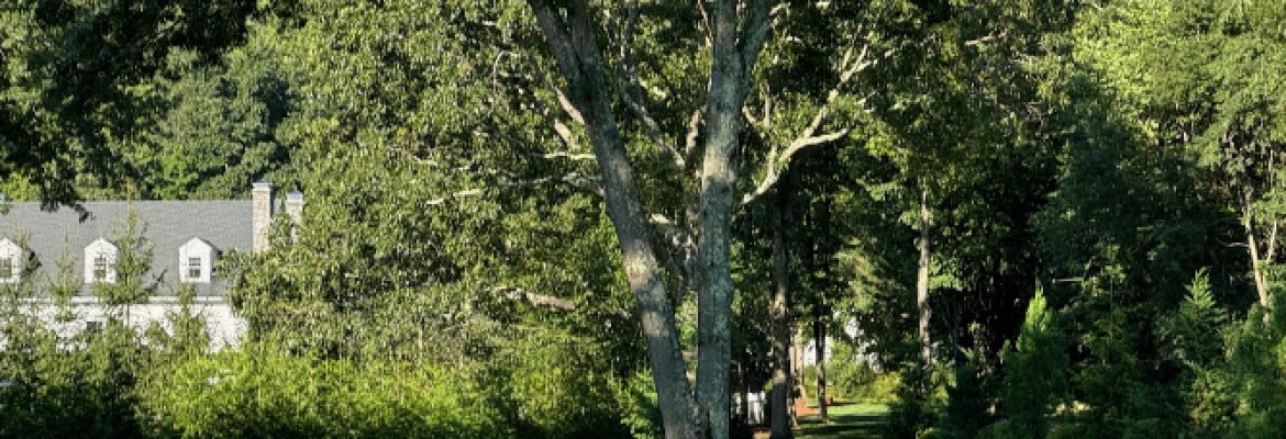 Organic Nature Lawn Care