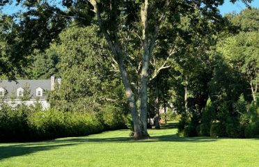 Organic Nature Lawn Care