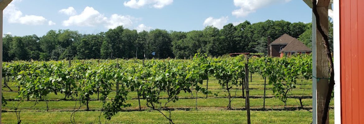 Savino Vineyards